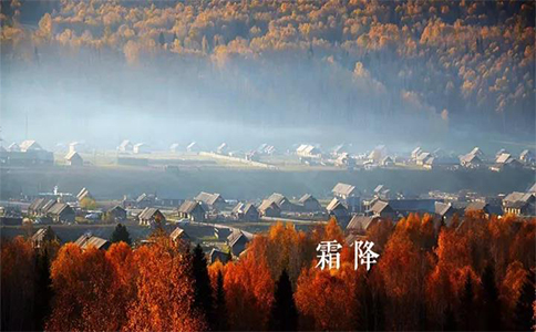 钧和电子霜降 钧和电子霜降