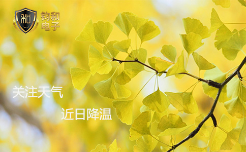 钧和电子天气 钧和电子天气