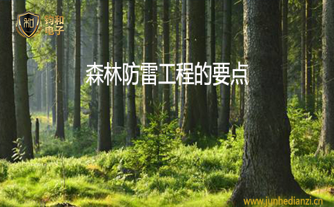 钧和电子森林防雷工程的要点 钧和电子森林防雷工程的要点