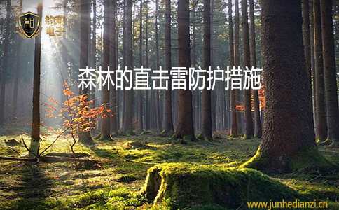 钧和电子森林的直击雷防护措施 钧和电子森林的直击雷防护措施
