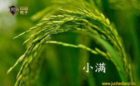 钧和电子小满时节注意防雷哦 钧和电子小满时节注意防雷哦