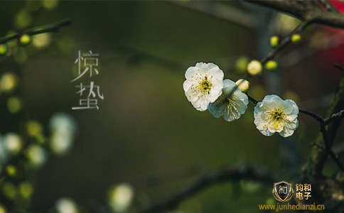 钧和电子分享惊蛰之后注意防雷 钧和电子分享惊蛰之后注意防雷