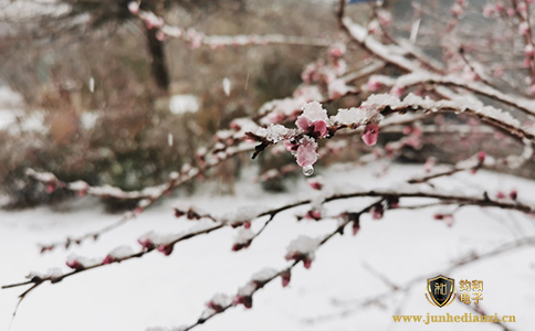 钧和电子分享大规模雨雪上线,部分地区有雷暴 钧和电子分享大规模雨雪上线,部分地区有雷暴